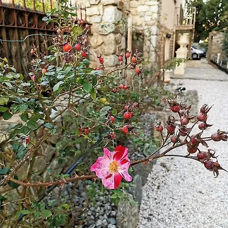 Domaine La Via Regia : Les Maisons Holiday home